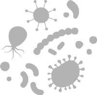 Microbiotic Barrier